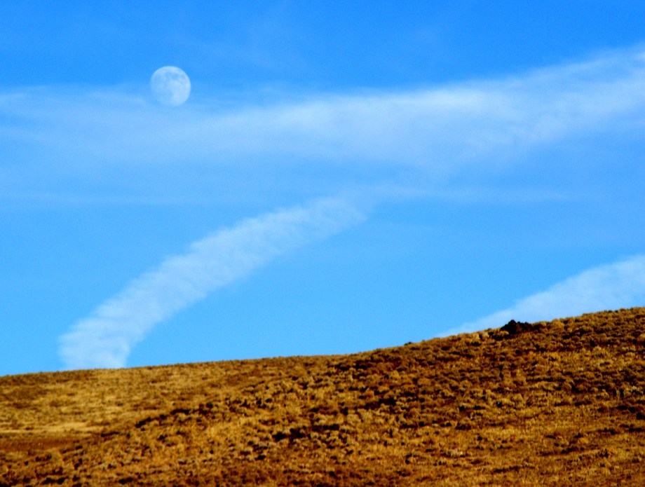 "Moonrise Over the Desert" by Shirley Schirz